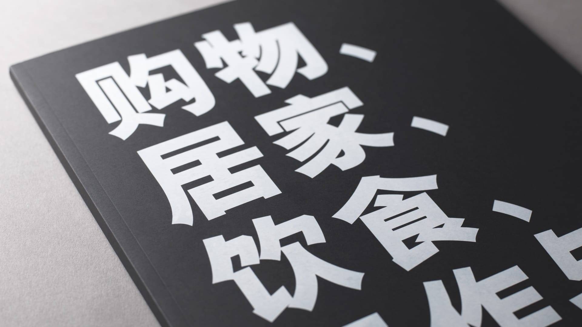 property marketing for battersea power station london - chinese brochure